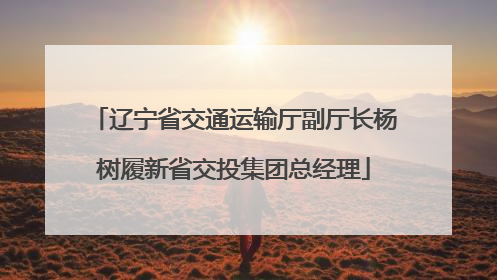 辽宁省交通运输厅副厅长杨树履新省交投集团总经理